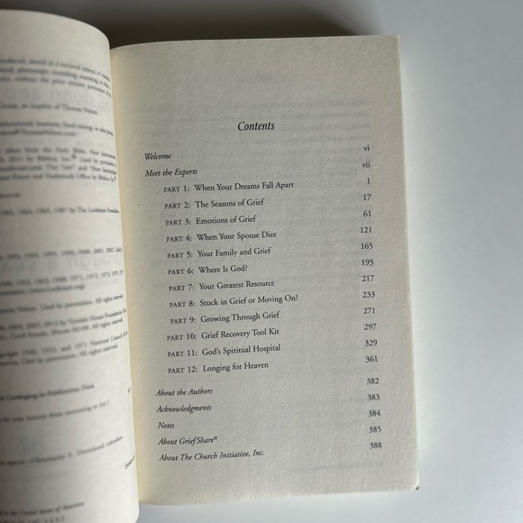 Grief Devotions Book 🩵 - Picture 3 of 3